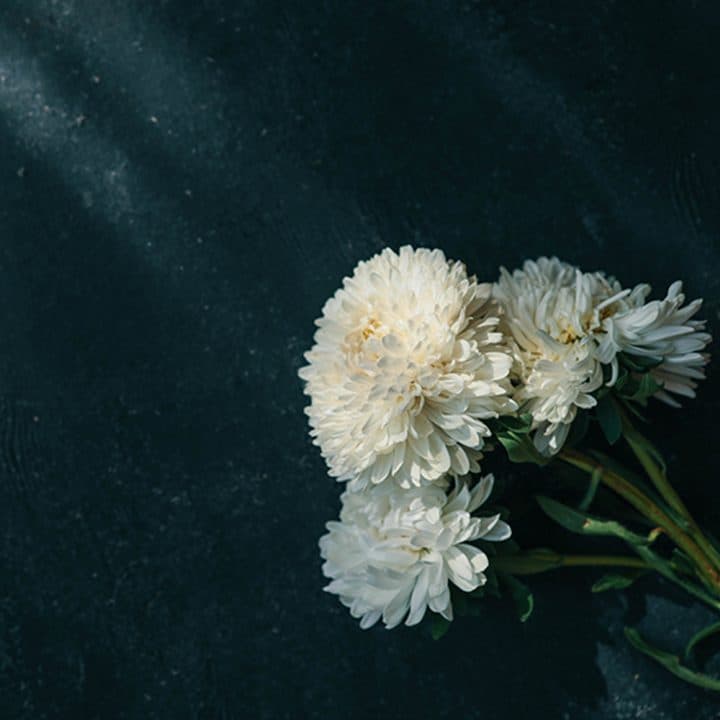 플라워예홈 부고장 앱